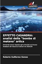 EFFETTO CASANDRA: analisi della "bomba di metano" artica