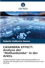 CASANDRA EFFECT: Analyse der "Methanbombe" in der Arktis