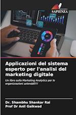 Applicazioni del sistema esperto per l'analisi del marketing digitale