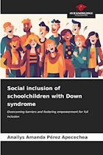 Social inclusion of schoolchildren with Down syndrome