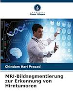 MRI-Bildsegmentierung zur Erkennung von Hirntumoren