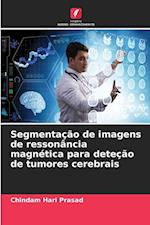 Segmentação de imagens de ressonância magnética para deteção de tumores cerebrais