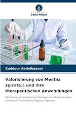 Valorisierung von Mentha spicata.L und ihre therapeutischen Anwendungen