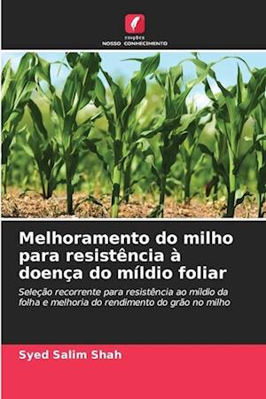 Melhoramento do milho para resistência à doença do míldio foliar