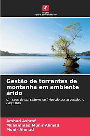 Gestão de torrentes de montanha em ambiente árido