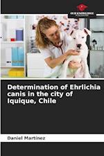 Determination of Ehrlichia canis in the city of Iquique, Chile