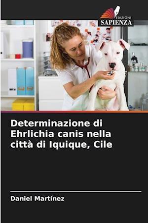 Determinazione di Ehrlichia canis nella città di Iquique, Cile