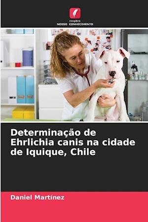 Determinação de Ehrlichia canis na cidade de Iquique, Chile