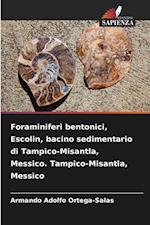 Foraminiferi bentonici, Escolin, bacino sedimentario di Tampico-Misantla, Messico. Tampico-Misantla, Messico