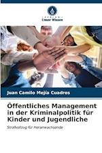 Öffentliches Management in der Kriminalpolitik für Kinder und Jugendliche