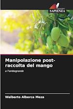 Manipolazione post-raccolta del mango