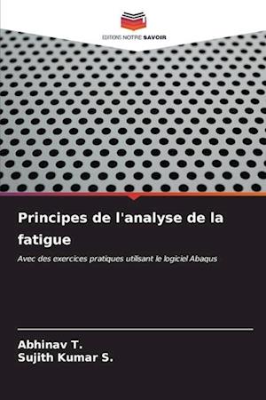 Principes de l'analyse de la fatigue