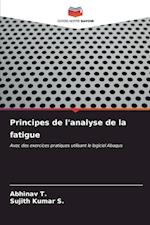 Principes de l'analyse de la fatigue