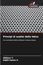 Principi di analisi della fatica