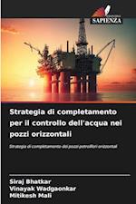 Strategia di completamento per il controllo dell'acqua nei pozzi orizzontali