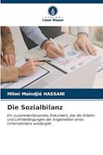 Die Sozialbilanz