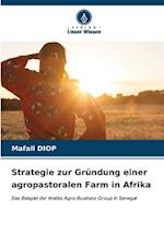 Strategie zur Gründung einer agropastoralen Farm in Afrika