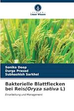 Bakterielle Blattflecken bei Reis(Oryza sativa L)