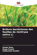 Brûlure bactérienne des feuilles du riz(Oryza sativa L)