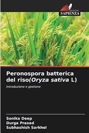 Peronospora batterica del riso(Oryza sativa L)