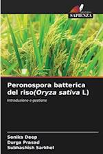 Peronospora batterica del riso(Oryza sativa L)