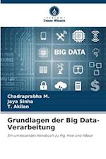 Grundlagen der Big Data-Verarbeitung