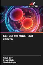 Cellule staminali del cancro