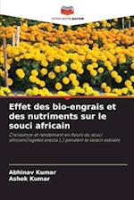 Effet des bio-engrais et des nutriments sur le souci africain