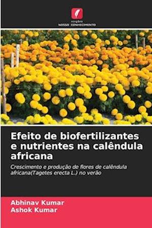 Efeito de biofertilizantes e nutrientes na calêndula africana