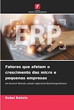 Fatores que afetam o crescimento das micro e pequenas empresas