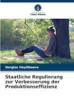 Staatliche Regulierung zur Verbesserung der Produktionseffizienz