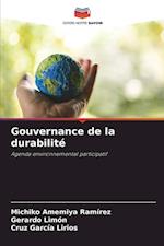 Gouvernance de la durabilité