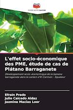 L'effet socio-économique des PME, étude de cas de Plátano Barraganete