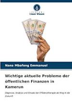 Wichtige aktuelle Probleme der öffentlichen Finanzen in Kamerun