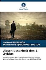 Abschlussarbeit des 1 Zyklus