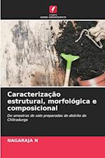 Caracterização estrutural, morfológica e composicional