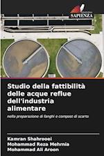 Studio della fattibilità delle acque reflue dell'industria alimentare