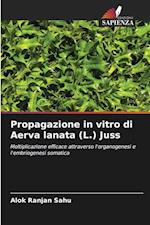 Propagazione in vitro di Aerva lanata (L.) Juss