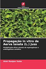 Propagação in vitro de Aerva lanata (L.) Juss