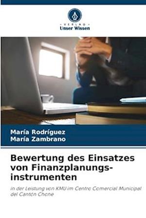 Bewertung des Einsatzes von Finanzplanungs-instrumenten