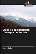 Ghiaccio combustibile: L'energia del futuro