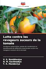 Lutte contre les ravageurs suceurs de la tomate