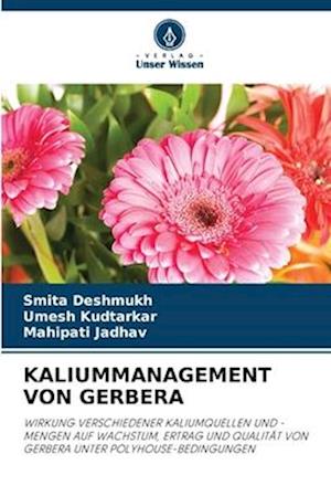 KALIUMMANAGEMENT VON GERBERA