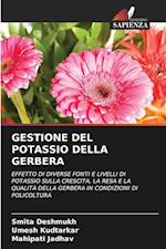 GESTIONE DEL POTASSIO DELLA GERBERA