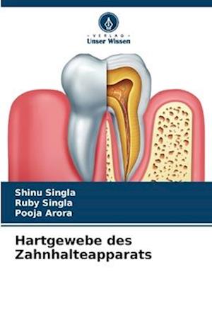 Hartgewebe des Zahnhalteapparats