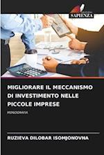 MIGLIORARE IL MECCANISMO DI INVESTIMENTO NELLE PICCOLE IMPRESE