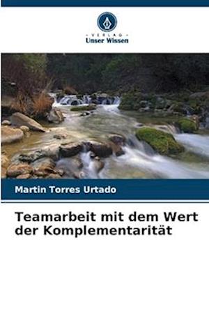 Teamarbeit mit dem Wert der Komplementarität