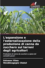 L'espansione e l'esternalizzazione della produzione di canna da zucchero sui terreni degli agricoltori