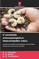 O nematóide entomopatogênico: Heterorhabditis Indica