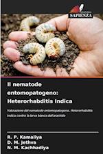 Il nematode entomopatogeno: Heterorhabditis Indica